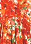 Original 1950s Vibrant Orange Poppies Cotton Dress - New!