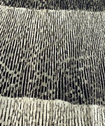 Late 1950s Black and White Cotton Lace Dress- NEW!