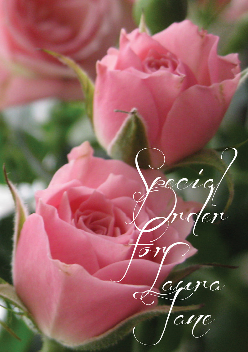 Special Order for Laura Jane